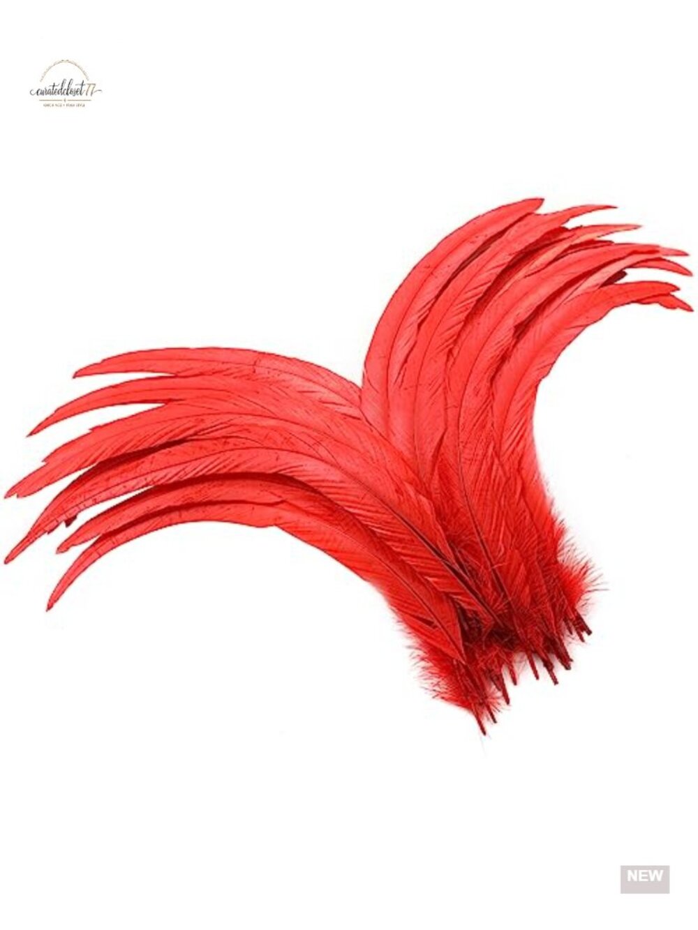 60 Natural Rooster Tail Feathers - Halloween Costume Decoration